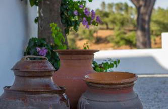 Monte das Texugueiras - Foto 49