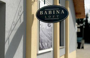 Babina Loft - Foto 1