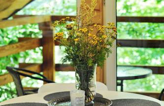 Osada Sroczy Jar - Foto 77