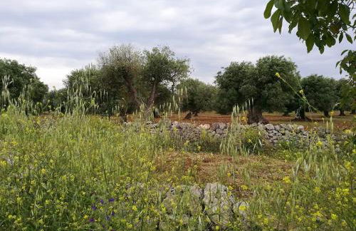 Casa Vacanze da Nonna Pia - Foto 45