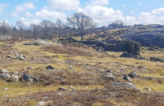 4 Person Holiday Home in Kyrkesund-by Traum - Foto 35