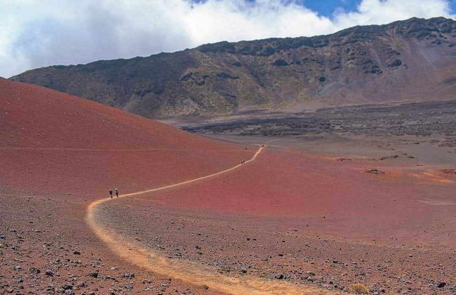 Hawaiian Dream Temple - Foto 25