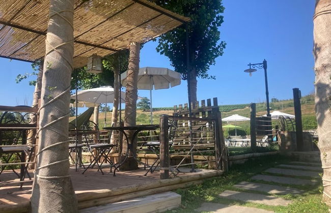 Gatto Bianco Tizzauli - Foto 45