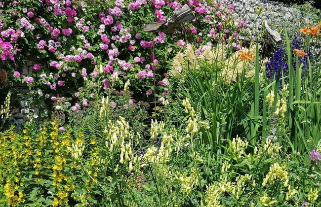 Frankenwaldhaus Comfortable Holiday Residence - Foto 32