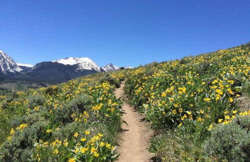 Log Home Stunning Views Hiking Fishing Paradise - Foto 26