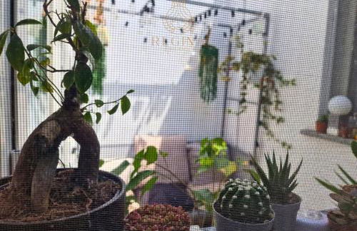 ACasaDiFranci attico con dehor privato, wifi e metro a 4 min da piedi - Foto 16