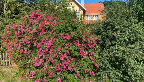 Neulandhof Spöring - Foto 4