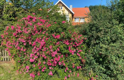 Neulandhof Spöring - Foto 4
