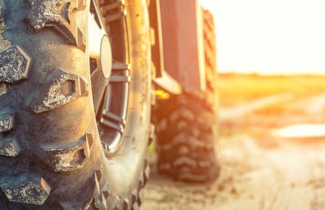 Algarve Quad Biking - Photo 1