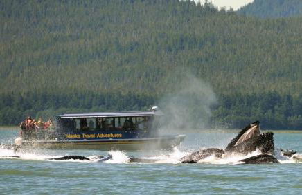 Captain's Quarters - Reduced Price Tours! - Foto 30