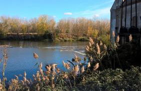 Casa Alfredo - Foto 45