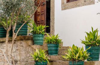 Casa dos Araújos - Foto 41