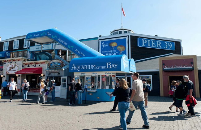 Biglietti per l'Aquarium of the Bay - Foto 2