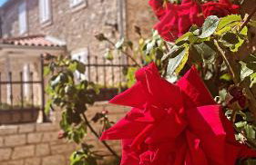 Spacious Apartment - Foto 4