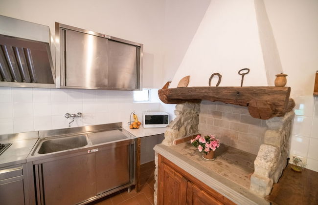 Fattoria di Cintoia - Photo 37