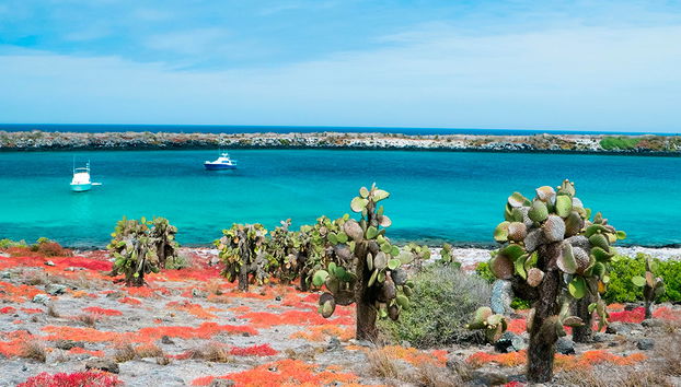 Plaza Islands Full-Day Tour from Santa Cruz - Photo 4