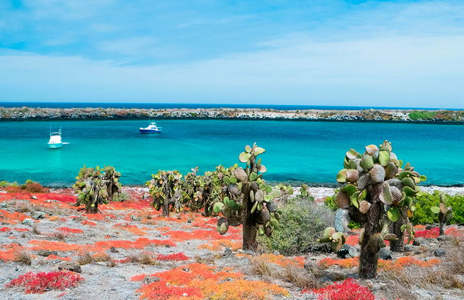 Plaza Islands Full-Day Tour from Santa Cruz - Photo 4