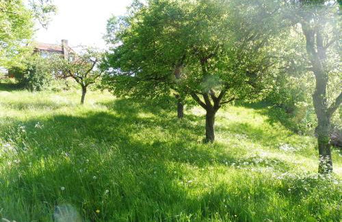 Kleine Villa im wilden Garten - Foto 31