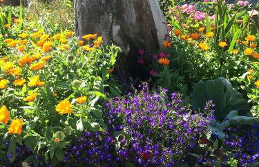 Ocean Drive Deluxe Apartment with complimentary Day Time Beach hut - Foto 63