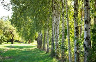 Obere Mühle - Scheunenwohnung mitten im Grünen - Foto 14