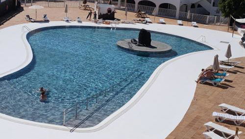 Flor De Cactus - Foto 5