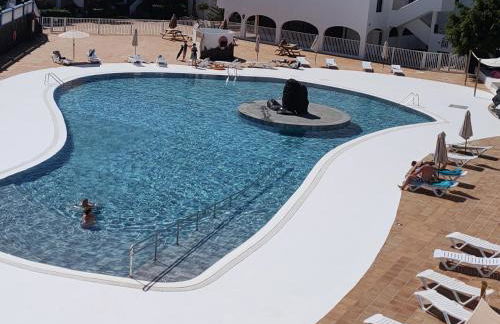 Flor De Cactus - Foto 5