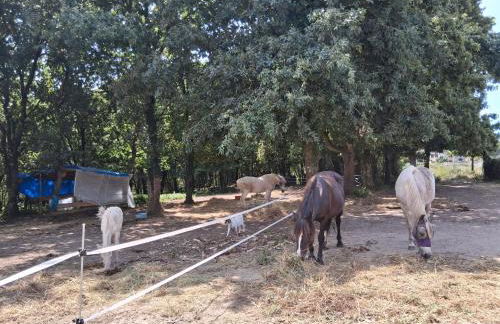 Apartamento Estilo Americano - Foto 43