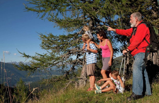 Apartment in Katschberg Near Ski Slopes - Photo 68