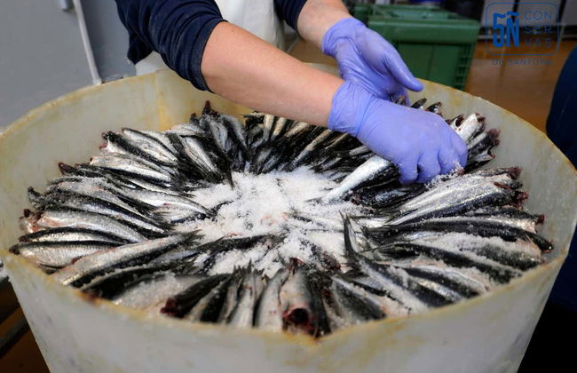 Visita a una fábrica de anchoas con degustación - Foto 9