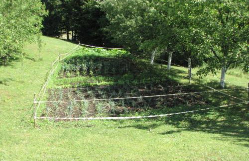 Apartment Rosie - Foto 36