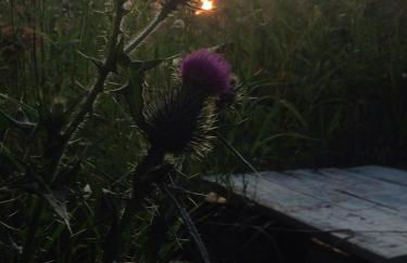 Meadow House Backcountry Residency - Foto 27