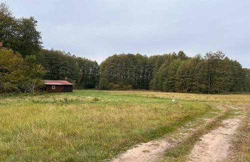 Siedlisko Silna Nowa - Foto 14