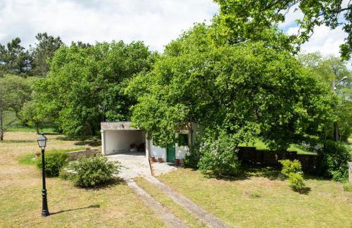 Casa Quinta de Cecil - Foto 45