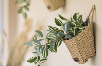 PRETTY SPITI Holiday Retreat - Photo 30