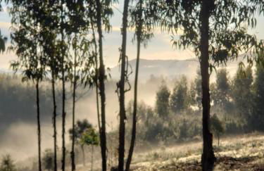 Casa Hortensia - Foto 11