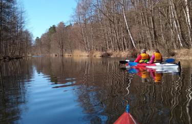 Zwei Seen Ferienhaus - Foto 44