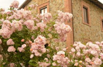 Agriturismo Riparossa - Foto 44