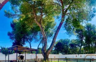 El Pinar De Rinconada- Rural House-Toledo - Foto 43