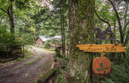 Autumn Ridge- Cozy cabin in the Blue Ridge Mountains with a bubbly hot tub! - Foto 6