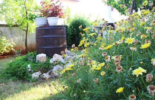 Apartments Cavae Romanae - Foto 32