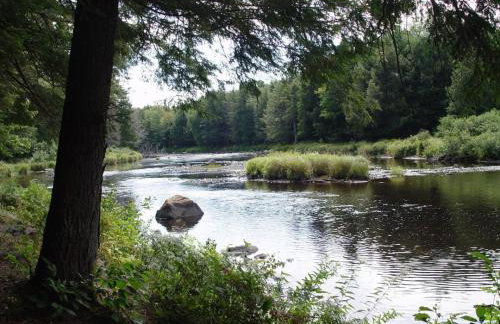 Riverside Cabin - Foto 28