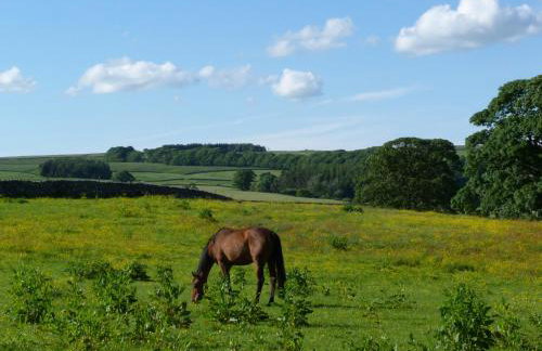 Shiers Farmhouse - Foto 18