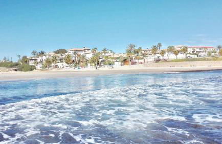 Oleza Garden - Laguna Rosa - Playa Flamenca - Pool & Garden View. - Photo 21