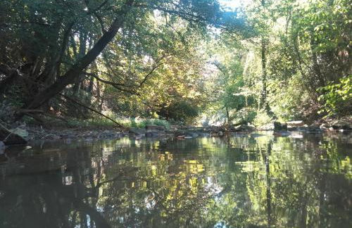 Appartement au bord de l'Yxeure au rez de chaussée avec terrain - Foto 11