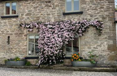 The Granary at Little Howle Farm - Foto 1