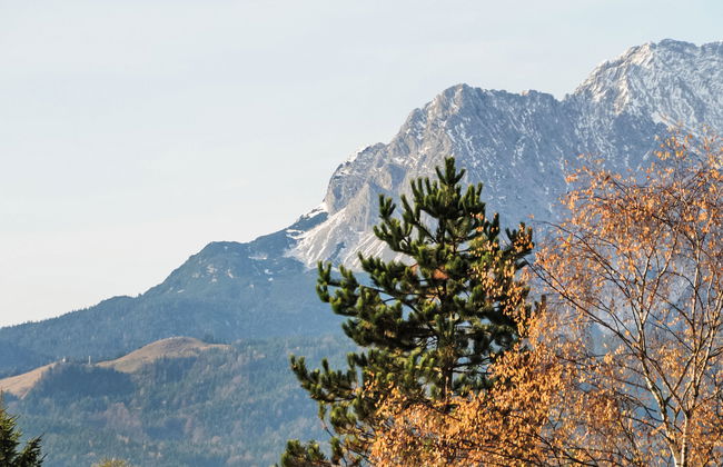 Flösserstrasse - Foto 35