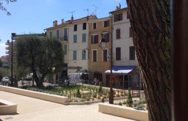 Palme d'hote - Photo 40