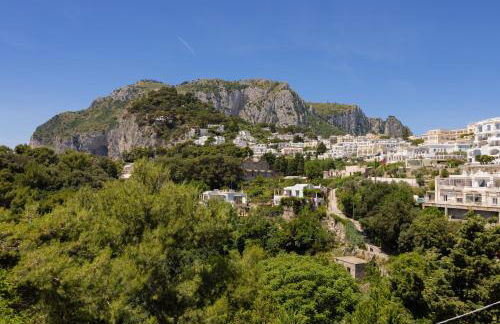 Oliveto Capri apartments - Foto 8