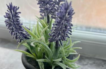 Charming Aldershot Home - Free Parking - Foto 15