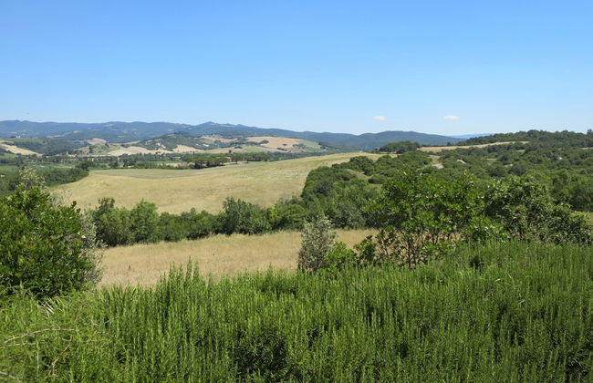 Le Colmate - Foto 21